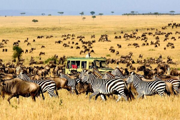 Tanzania-National-Parks-Safaris-e1660651304393 (1)